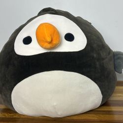 Donnan The Dodo Bird Squishmallows!