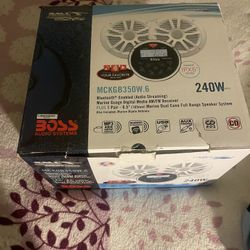 Boss Audio System 