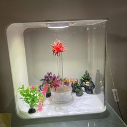 The Perfect Aquarium For Small Spaces