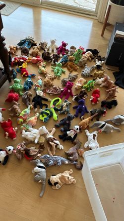 Beanie baby collection