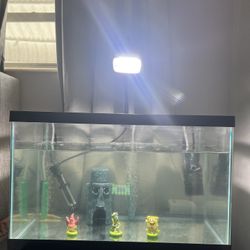 Fish Tank 