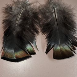 Gorgeous Real Turkey Feather Earrings 
