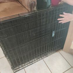 Metal Dog Kennel