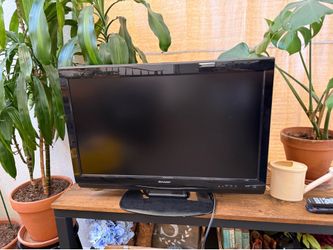 30 inch sharp tv with remote