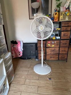 Fan