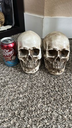 Skull set