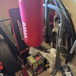 Everlast Punching Bag 