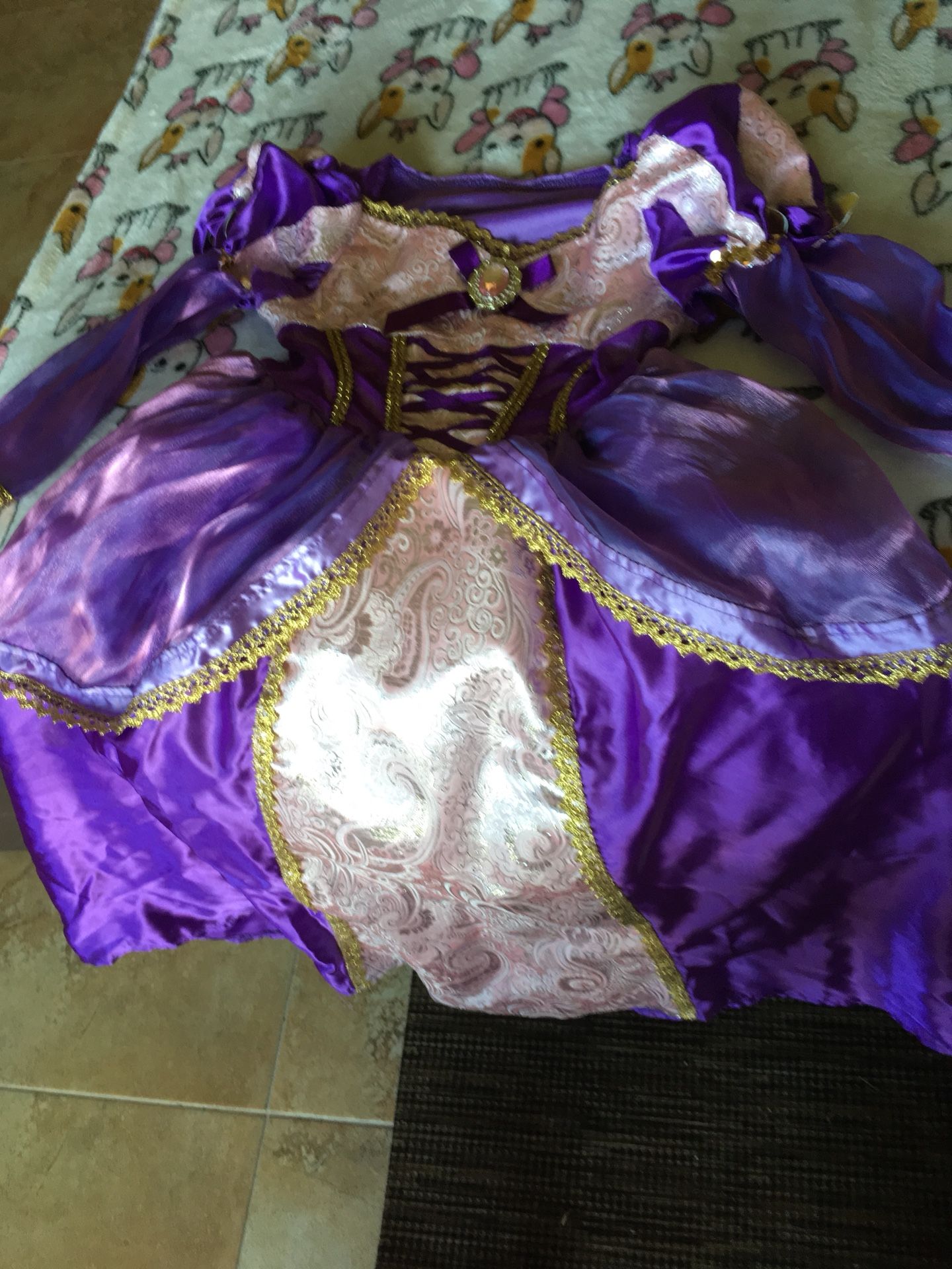 Princess dress,Renaissance Festival