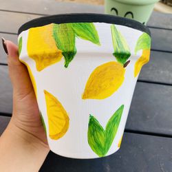 Plant Pot - Hand Painted