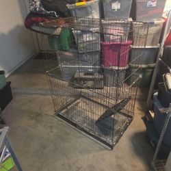 Big Bird Cage 