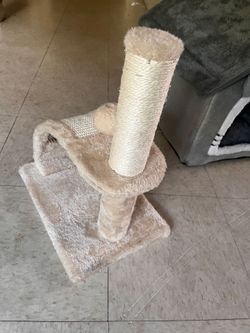 Cat Scratching