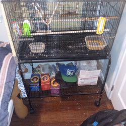 Bird Cage with rolling cart everything you need comes with it Plus bird medicine and food $100