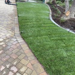 Sod Irragation 