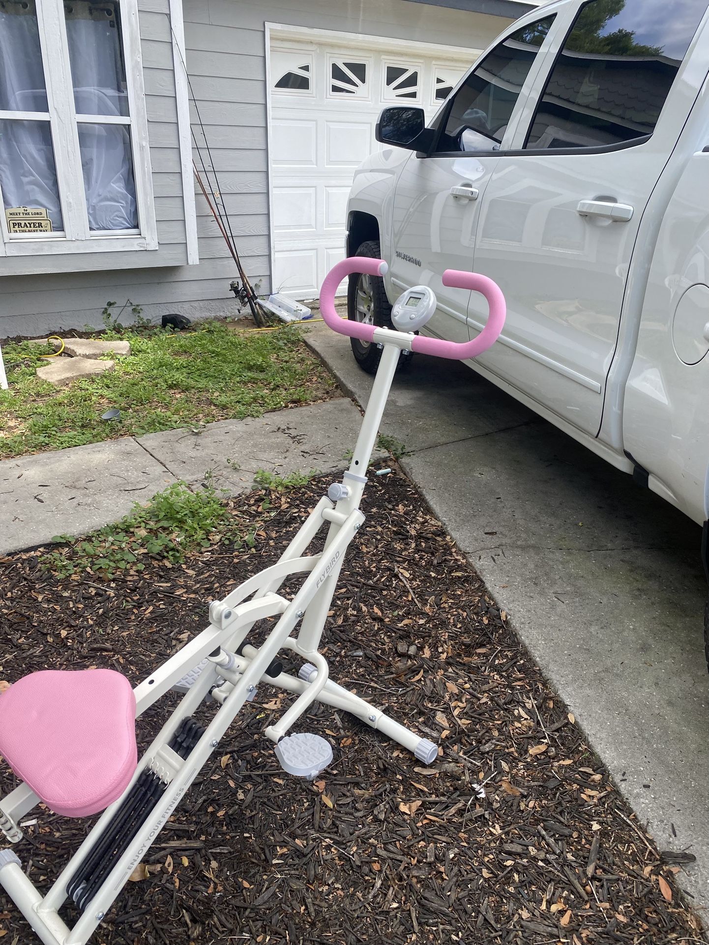 Squat Machine ( Fly Bird)