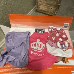 Dog Clothes And Brush