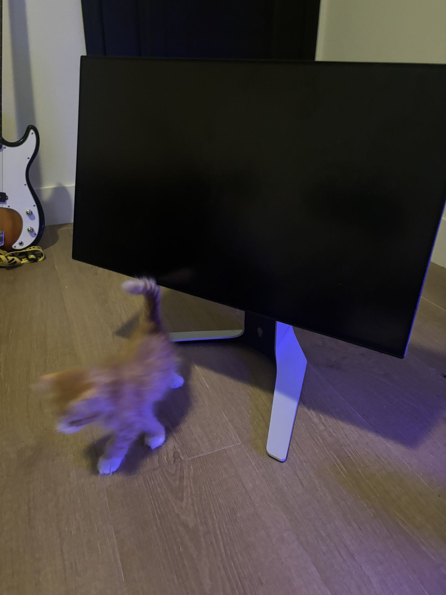 Alienware 27” 240 Hrz 1440p Monitor
