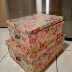 Set Of Two Butterfly Storage Containers