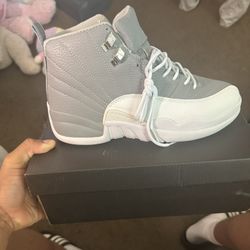 Air Jordan 12s
