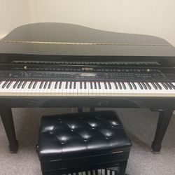 Electric Baby grand 