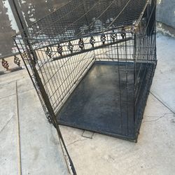 dog kennel