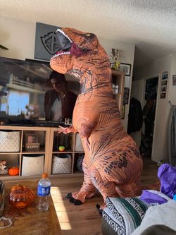 Dinosaur costume