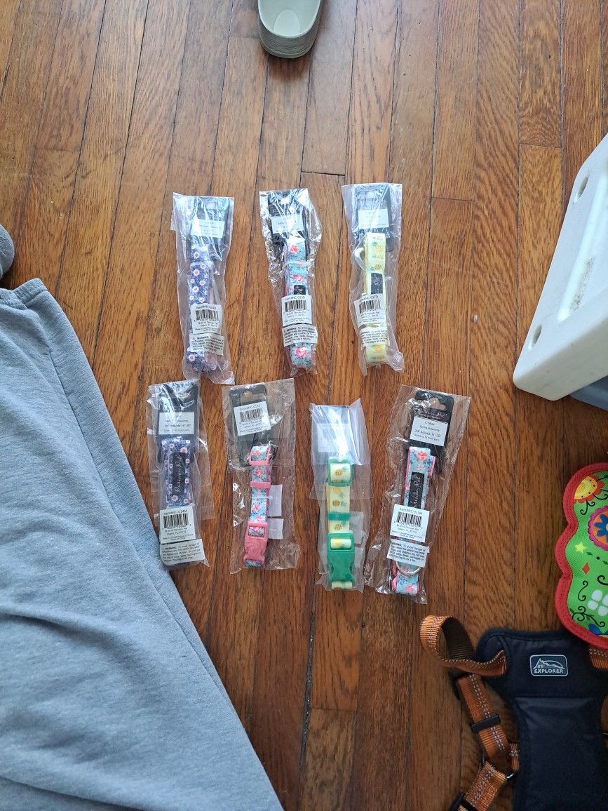 Dog Collars And Lead