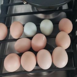 Fresrange  Organic Free Range Eggs