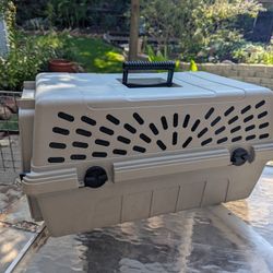 Hard-sided Cat Travel Carrier, Automatic Pet Feeder 