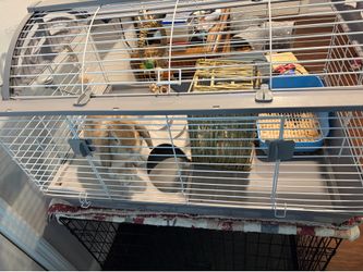 Bunny Cage and more