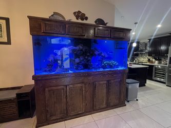 350 gallon aquarium tank