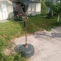 Everlast Reflex Bag $40 Or Best Offer Need Gone First Good Offer To Pickup 