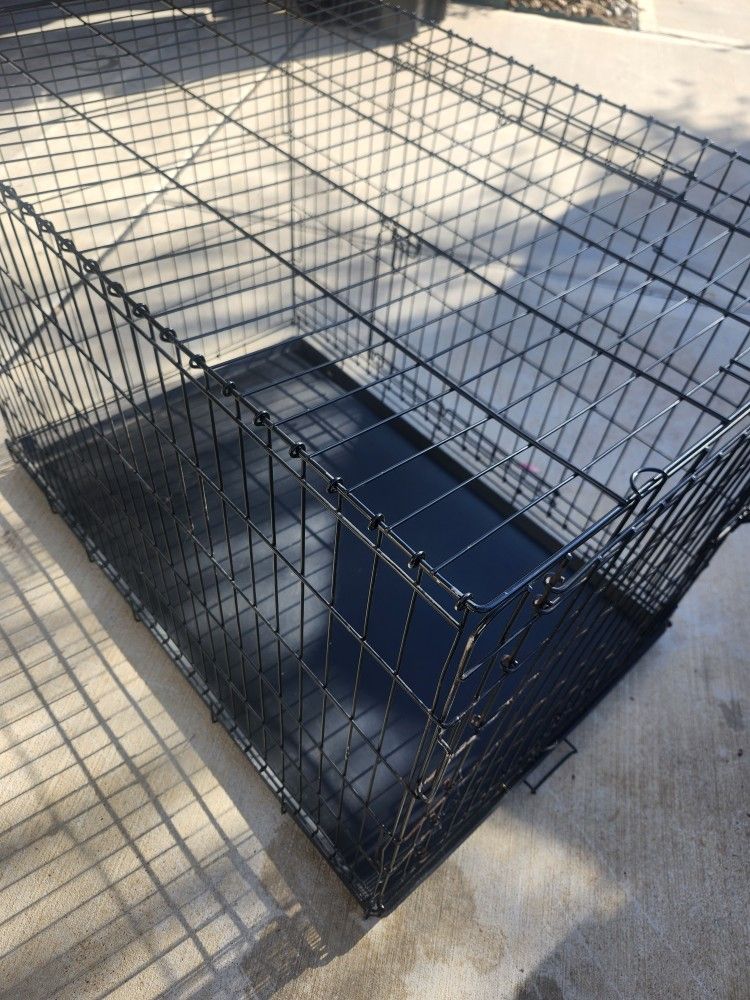 Dog Kennel