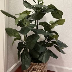 Plastic Decorative Plant