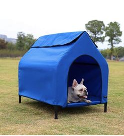 Dog House