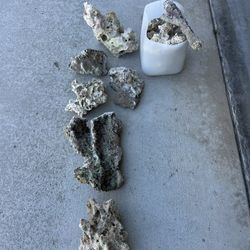 Salt water fish tank rocks