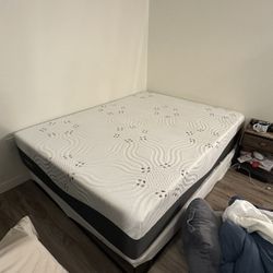 14" Queen-size Firm Gel Memory Foam 