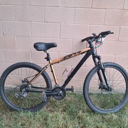 Kent Mountain Bike 