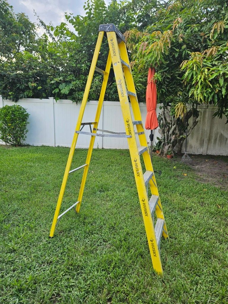 Ladder 8ft