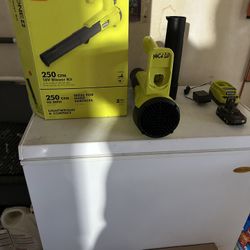 Ryobi Leaf blower