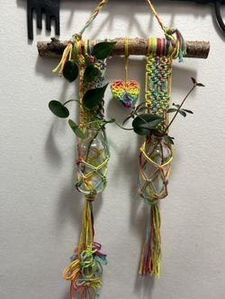 Handmade Macramé With Glass Bottle For Propagation, Free Plant Cutting With Purchase