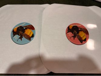 Flower Boy Vinyls