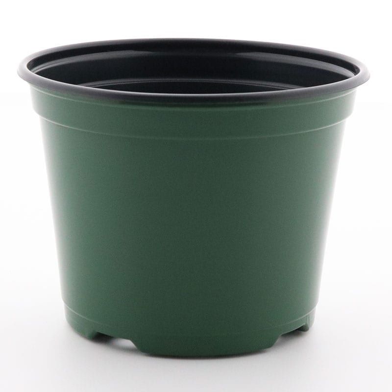 40, 6 inch co-extruded Round Green Nursery Shuttle Pots, planters, containers