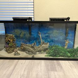 55 Gallon Fish Tank