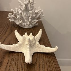 Beach Decorations 