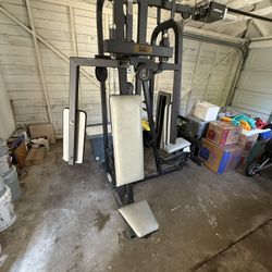 Gym Weight Set FREE