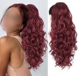 AISI BEAUTY Burgundy Ponytail Extension 