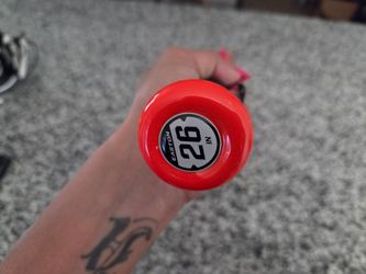 Baseball/softball bat set