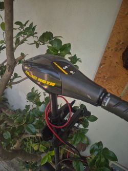 Trolling motor