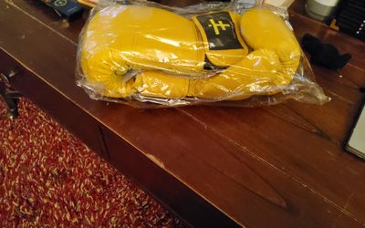 Womens Boxing Gloves