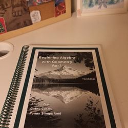Beginning Algebra With Geometry Part 1 3rd Edition